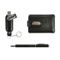 IMRON EXECUTIVE LEATHER 2GB USB GIFT SET W-PEN