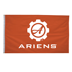3' X 5' ARIENS FLAG