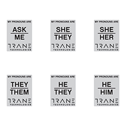 PRONOUN PINS