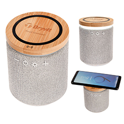 DRYVIT PC - WIRELESS SPEAKER & CHARGER COMBO